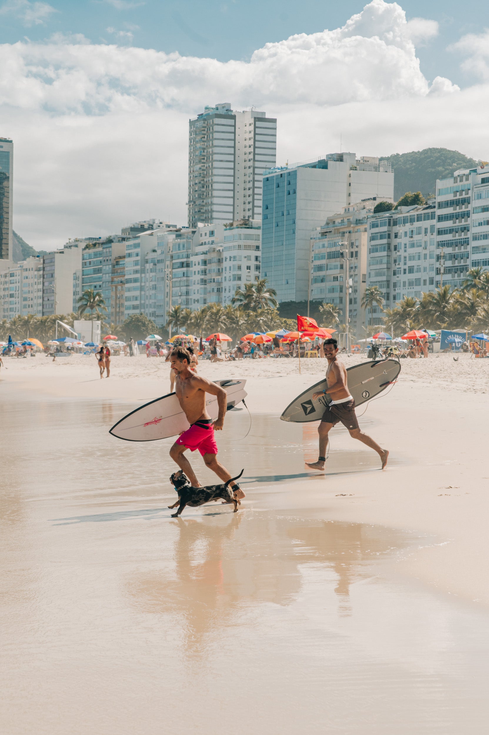 Ultra Light Treko Reverso